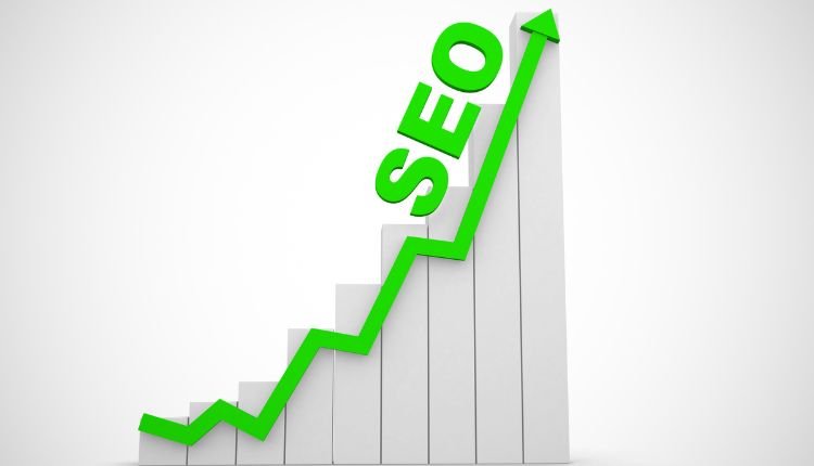 SEO growth trends and ranking improvements.